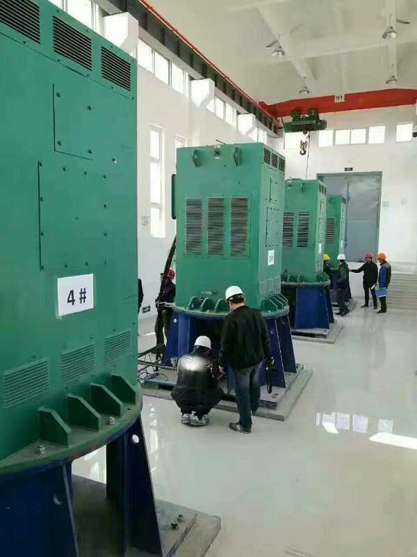 YKK6301-6/1250KW某污水处理厂使用我厂的立式高压电机安装现场