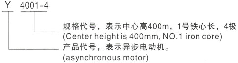 西安泰富西玛Y系列(H355-1000)高压YKK6301-6/1250KW三相异步电机型号说明