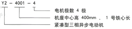 YR系列(H355-1000)高压YKK6301-6/1250KW三相异步电机西安西玛电机型号说明